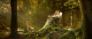 FOX_AND_BIRD_still_05
