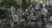 Imagem-15