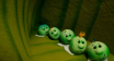 PEA-CHILDREN-01-photo-EVALDS-LACIS
