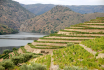 horas-do-douro_1