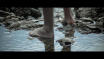 banho-santo1