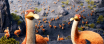 Boom_lowres1