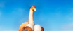 Boom_lowres2
