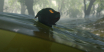 Flow_16