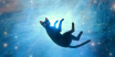 Flow_65