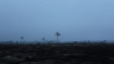 hsa_still1