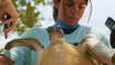 JulietaEnDeSchildpadden_grade_JulietaEnDeSchildpadden_grade_12056