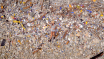 JulietaEnDeSchildpadden_grade_JulietaEnDeSchildpadden_grade_20439