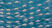 Tuempel_Still01