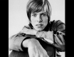 MyWay_VisuelHD_DavidBowie