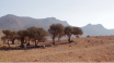 Notas-de-Campo_2