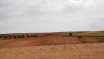 Notas-de-Campo_3