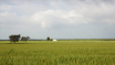 Notas-de-Campo_4
