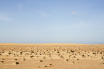 Notas-de-Campo_6
