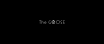 THE-GOOSE_02