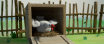 THE-GOOSE_21