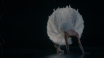 A-dancer-stretches