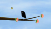 O-Passarinho-e-as-Abelhas-1