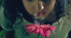 2010_CVCM_Alegoria_dos_Sentidos_Frame