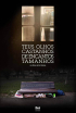 cartaz-olhoscastanhos