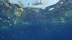 APO Still Images (12)