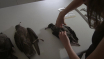 APO Still Images (3)
